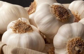 Dobitë e panumërta të hudhrës