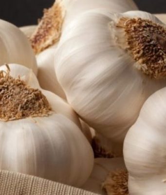 Dobitë e panumërta të hudhrës