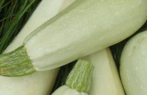 Disa nga vlerat e kungulleshkës