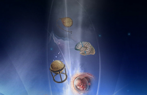 Kurani mahnit shkencën