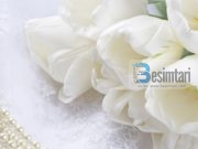 8 shenjat qe vertetojne se nje femer eshte mbretereshe