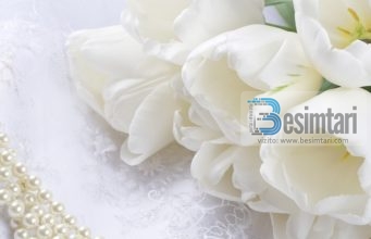 8 shenjat qe vertetojne se nje femer eshte mbretereshe