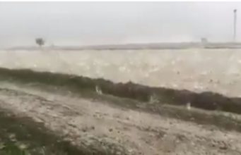 Në vend të shiut, bien gurë nga qielli (VIDEO).. –