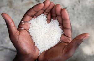 ÇFARË KËRKON LYPËSI