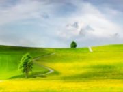 Shiko se di do të duken njerzit në xhenet? –