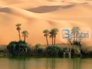 7 POROSI EDUKATIVE NGA FËMIJËRIA E MUHAMMEDIT S.A.V.S.