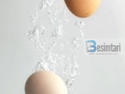 O BIRI IM, KJO ËSHTË NJË BAMIRËSI E MBËSHTJELLË ME KRENARI