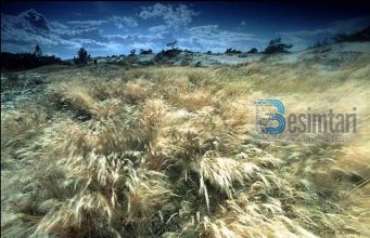 CILA ËSHTË GJËJA MË E MIRË QË NJERIU MUND TA KËRKOJË NGA ALLAHU?