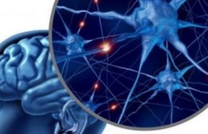 Ushqimet që rrisin energjinë e trurit