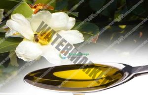 7 Sekrete për lëkurë të shëndetshme