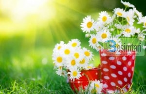 TY TË TË MJAFTOJË ALLAHU !