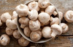 Kërpudhat magjike kundër depresionit