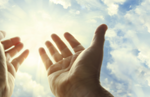 Përgëzoji durimtarit! Rruga e tyre eshte Xheneti