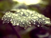 MIRËSJELLJA ME CAKTIMIN E ALLAHUT