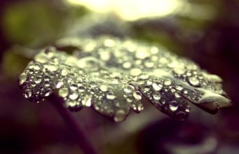 MIRËSJELLJA ME CAKTIMIN E ALLAHUT