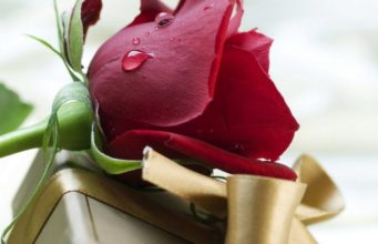 MESAZH MOTRAVE TË CILAT NUK KANË FËMIJË, APO NUK JANË MARTUAR, APO JANË SHKURORËZUAR