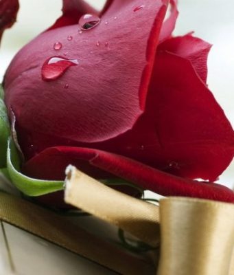 MESAZH MOTRAVE TË CILAT NUK KANË FËMIJË, APO NUK JANË MARTUAR, APO JANË SHKURORËZUAR