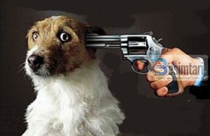 A lejohet MBYTJA E QENVE ?