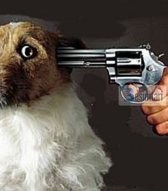 A lejohet MBYTJA E QENVE ?