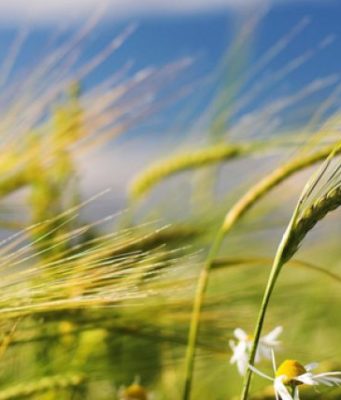 Në lidhje me besëtytninë