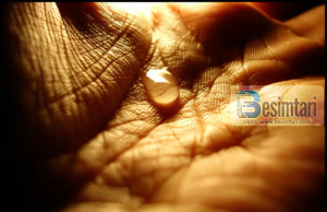 KUSH DO T’I BLEN LOTËT E SYVE TË TU ?!