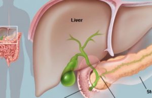 5 fakte që çdo grua duhet t’i dijë për pankreasin