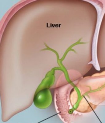 5 fakte që çdo grua duhet t’i dijë për pankreasin