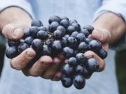 Sëmundjet që parandalohen nga rrushi