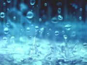 Shirat të cilat e kthejnë tokën e vdekur përsëri në jetë