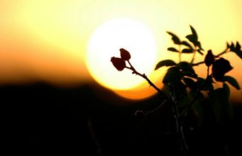 Mos e humbni shpresën në mëshirën e Allahut! – Opoja.net