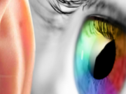 Pse Kur’ani e përmend dëgjimin para shikimit? Ja zbulimi fenomenal shkencor!