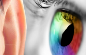 Pse Kur’ani e përmend dëgjimin para shikimit? Ja zbulimi fenomenal shkencor!