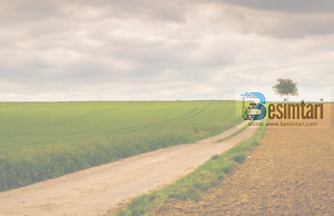 Zilia lejohet vetëm në dy gjëra.