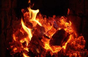 Zilia është përhapur jashtë mase sot tek njerëzit