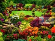 A DËSHIRON TË JESH ME TË DËRGUARIN, LAVDIA DHE PAQJA E ALLAHUT QOFSHIN MBI TË, NË XHENET?!