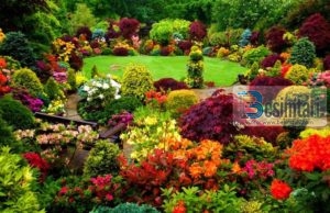 A DËSHIRON TË JESH ME TË DËRGUARIN, LAVDIA DHE PAQJA E ALLAHUT QOFSHIN MBI TË, NË XHENET?!