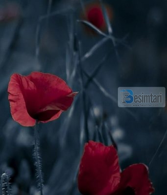 NË SHPIRTIN E ÇDO NJERIUT EKZISTON NJË LUFTË