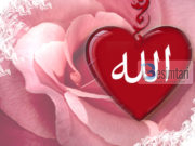 Shikimi i Allahut të Madhëruar në ahiret?