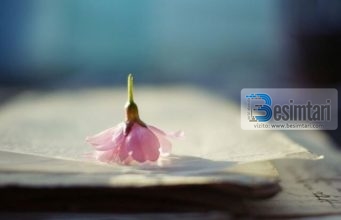 GJUMI DHE ËNDËRRAT NGA KËNDVËSHTIMI KURANOR DHE SHKENCOR