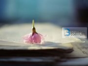 Argumente mbi ringjalljen dhe jetën e përtejme