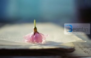 Argumente mbi ringjalljen dhe jetën e përtejme