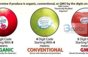 ÇFARË JANË KODET TË AFISHUARA NË FRUTAT DHE PERIMET?