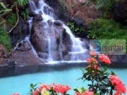 Çfarë kanë dashur ata?