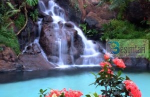 Çfarë kanë dashur ata?