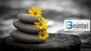 Cilës duhet ti japim përparësi: martesës apo shkollimit? Cilës duhet ti japim përparësi: martesës apo shkollimit?