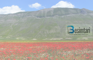 Shembull logjik për ekzistencën e Xhenetit