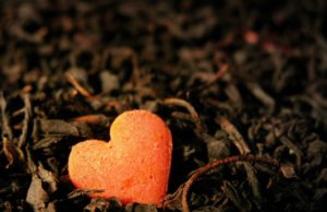 “Më vjen keq… Ju kanë mbetur vetëm edhe pak vite për të jetuar!”