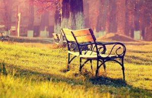 Porosi të arta nga njeriu më i mirë ne rruzullin tokësor