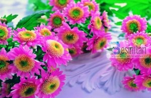 Gratë tona janë mbretëresha, Nuk folin me çfarëdo mashkulli