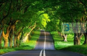 QË TË KEMI JETË TË LUMTUR NË DYNJA DHE TË SHPËTOJMË NË BOTËN TJETËR